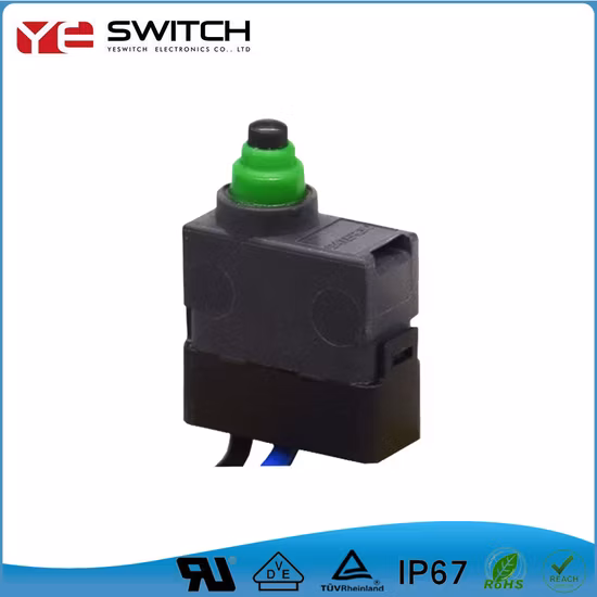 IP67 Wasserdichter elektronischer LED-beleuchteter Kippschalter, Druckknopf-Mikroschalter für Autoteile
